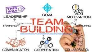 Proven Strategies for Effective Team Building